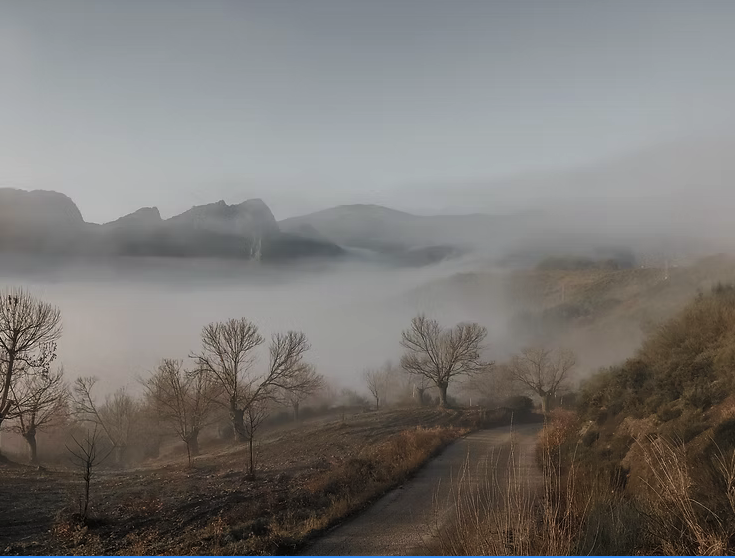 Sobre el cansancio y la búsqueda de lo esencial