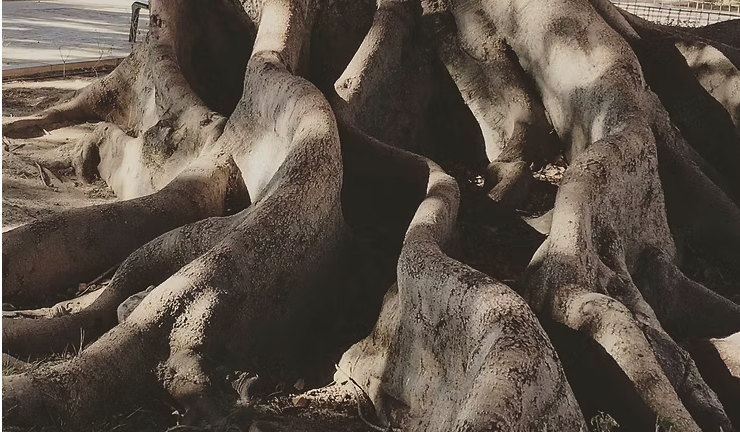 La vida que «se nos debe»