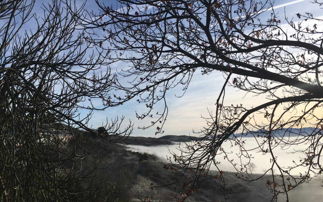 Lo inmutable… muta