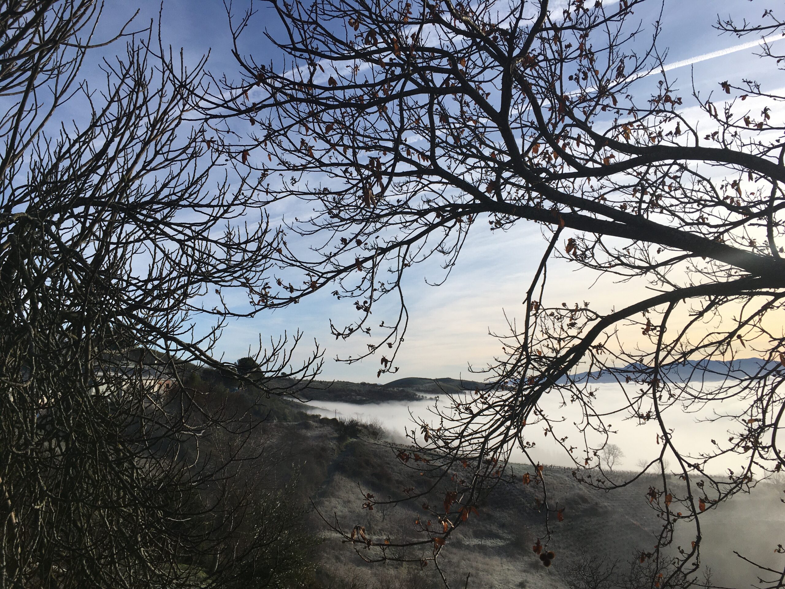 Lo inmutable… muta