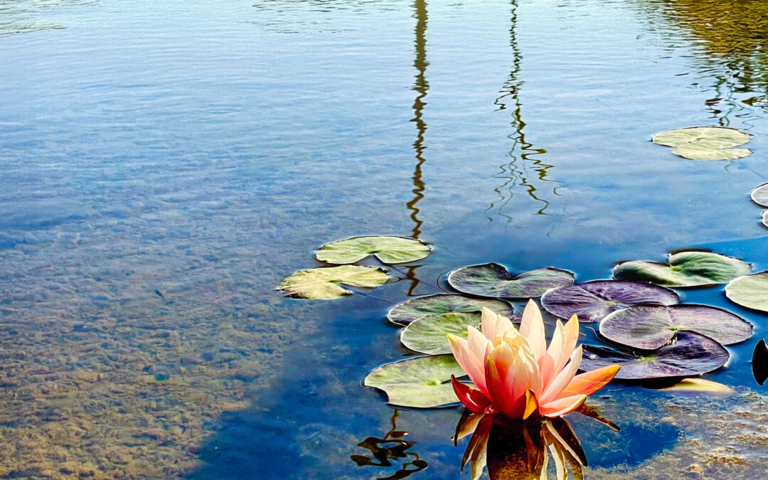 ¿Es la vida una batalla perdida?